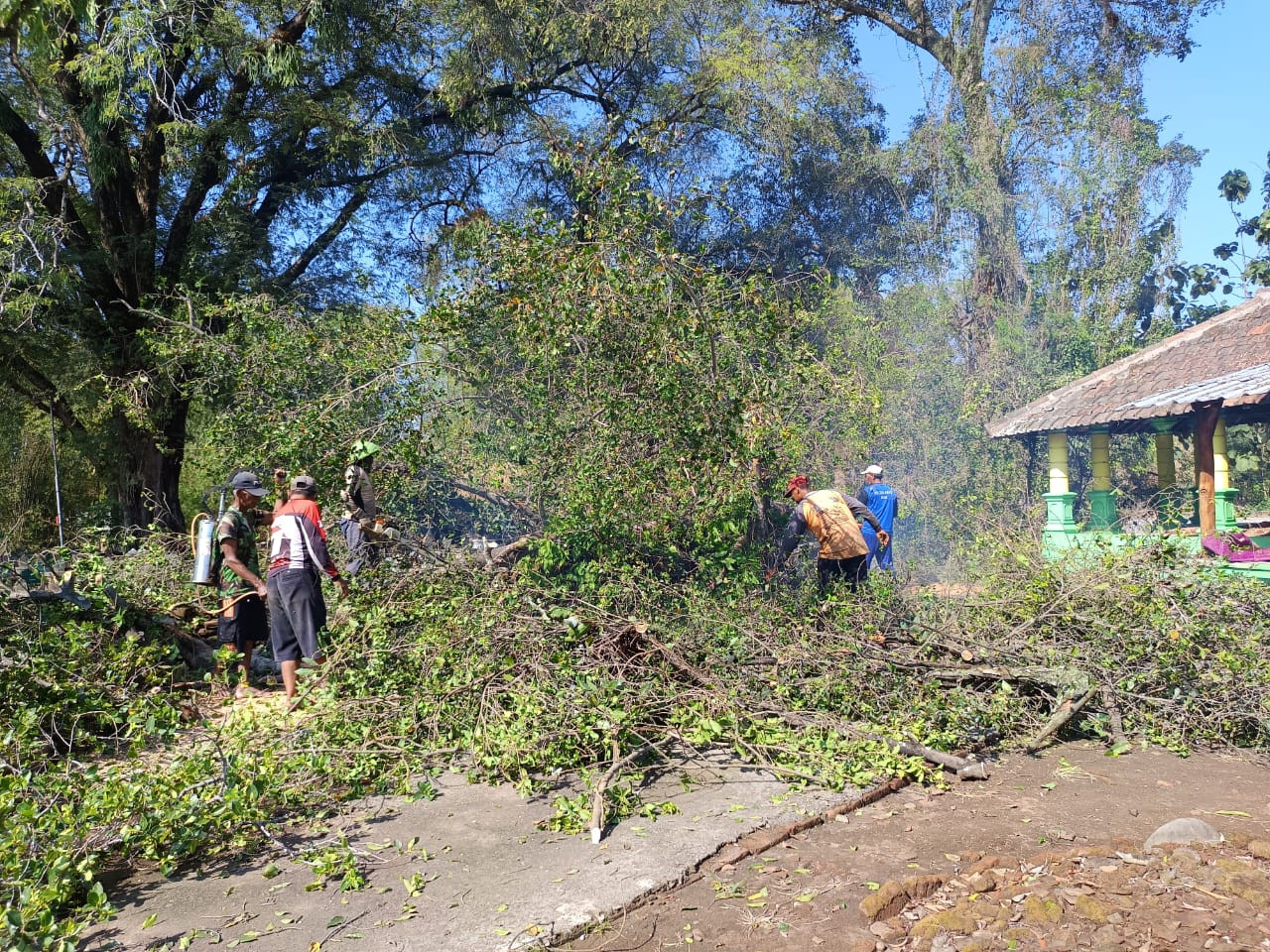 PUTING BELIUNG SEDANG MENGGUNCANG DESA TANJUNG